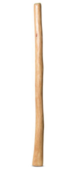 Medium Size Natural Finish Didgeridoo (TW1226)